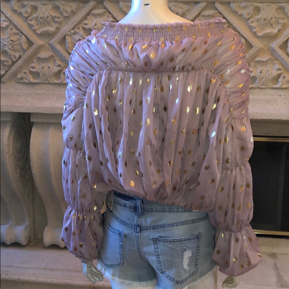 Chiffon DustyPink Polka Dot Top W/ Lantern Sleeves - Picture 6 of 6